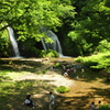 家族たちの夏