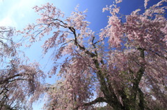 空に向かって