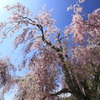 空に向かって