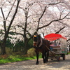 ぱっかぱっかお馬♪