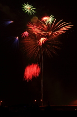 夜空を彩る花々