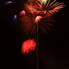 夜空を彩る花々