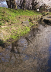 水面に揺れる