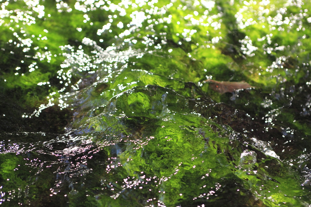 清らかな水