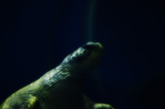 水族館