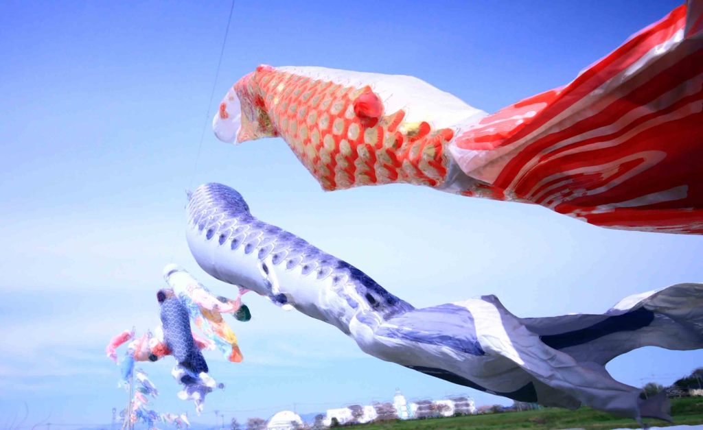鯉幟