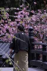 Edo Mura