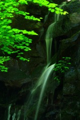 裏見ノ滝、日光