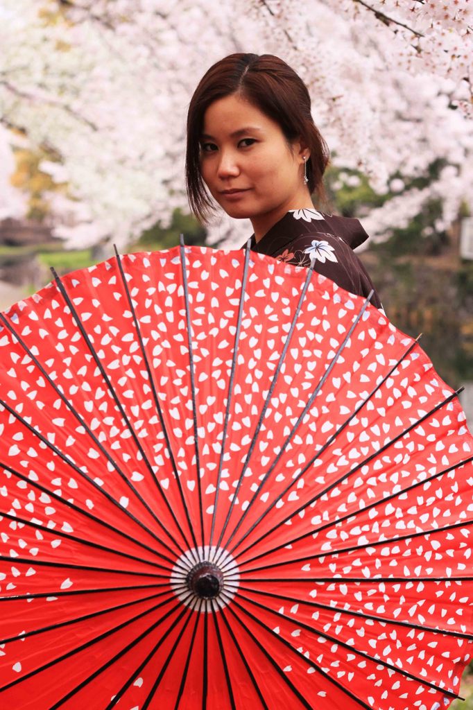 和傘,桜Sakura,wagasa,cherry blossom