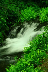 滝 軽井沢