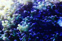 水族館