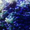 水族館