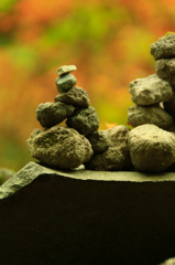 秋
