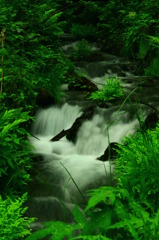 滝 軽井沢