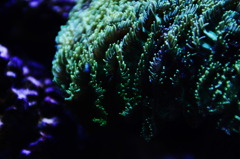 水族館