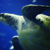 水族館