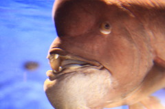 水族館