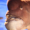 水族館