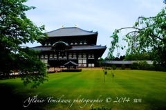 Aflânio Tomikawa photographer © 2014 富川3