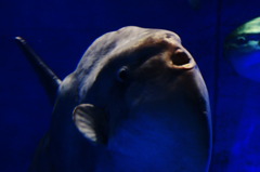 水族館
