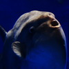 水族館