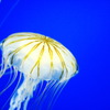 水族館
