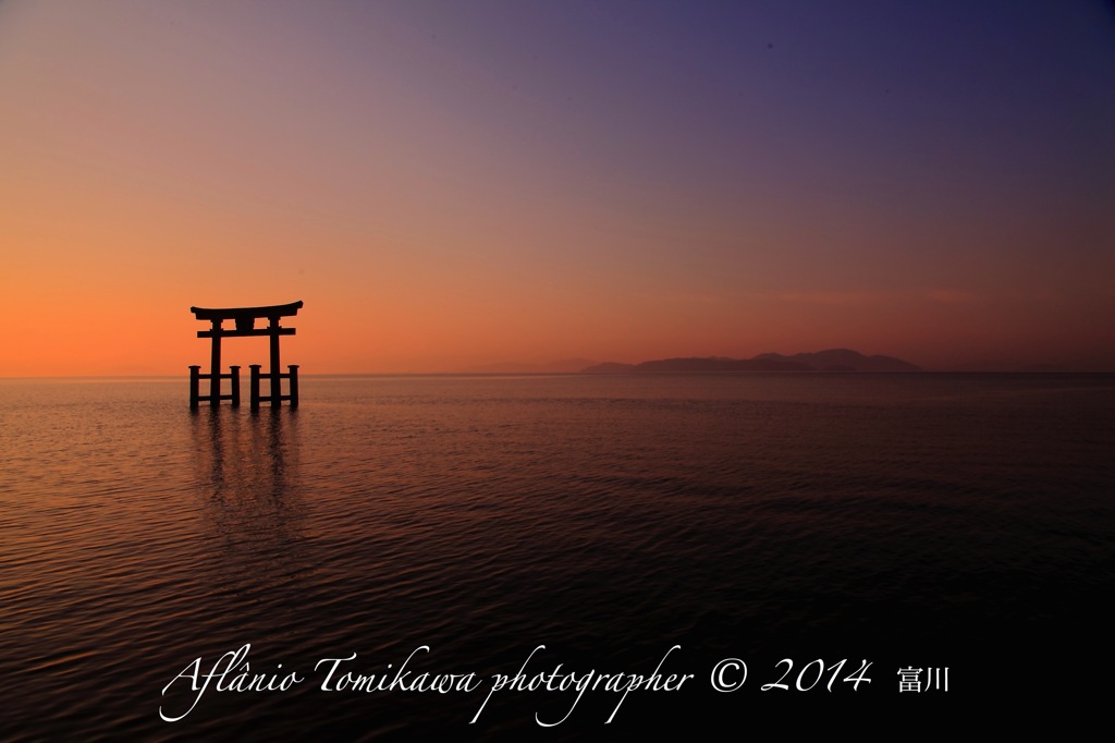 Aflânio Tomikawa photographer © 2014 富川5