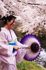  和傘,Sakura,wagasa,cherry blossom,桜