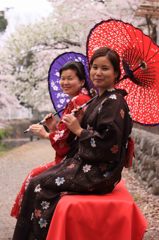 和傘,Sakura,wagasa,cherry blossom,桜