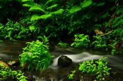 滝 軽井沢