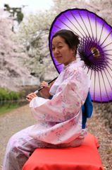 和傘,Sakura,wagasa,cherry blossom,桜