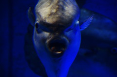 水族館