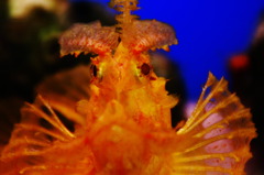 水族館