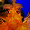 水族館
