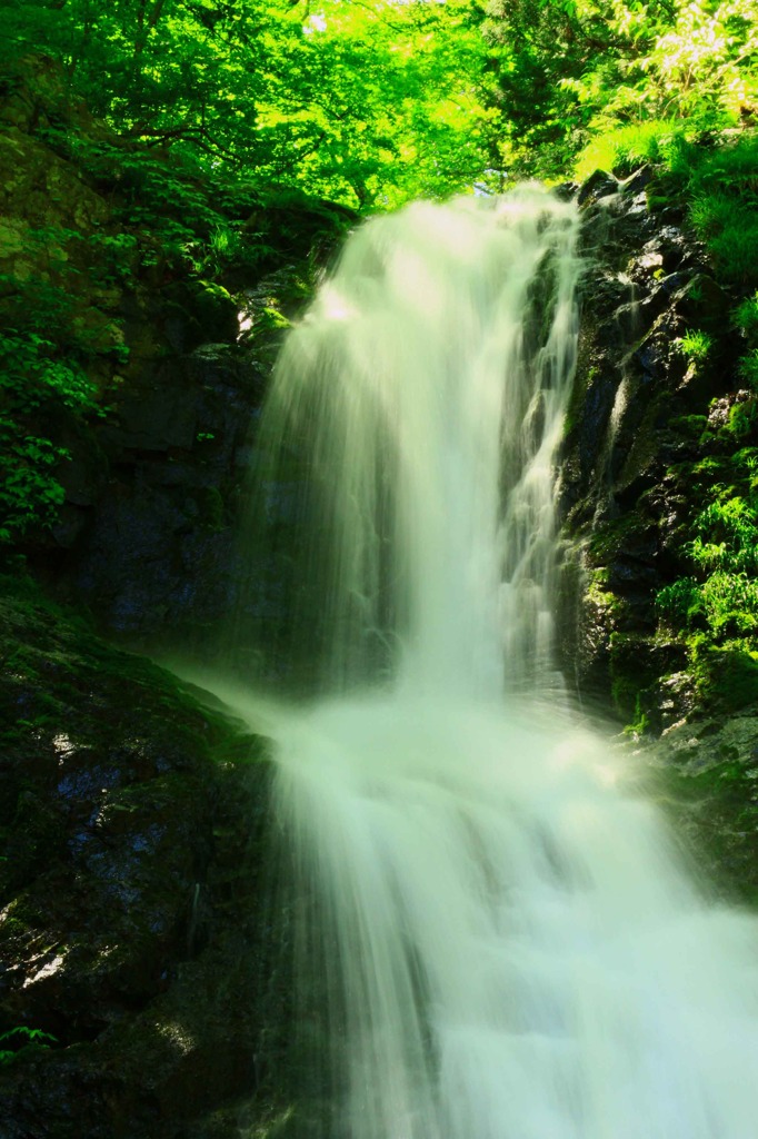 日光