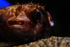 水族館