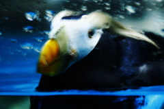 水族館