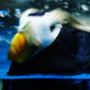 水族館