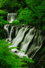 白糸の滝 軽井沢, Karuizawa Shira Ito no Taki