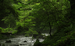 Karuizawa, 軽井沢