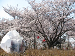 ビニール袋