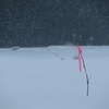 雪の中の棒