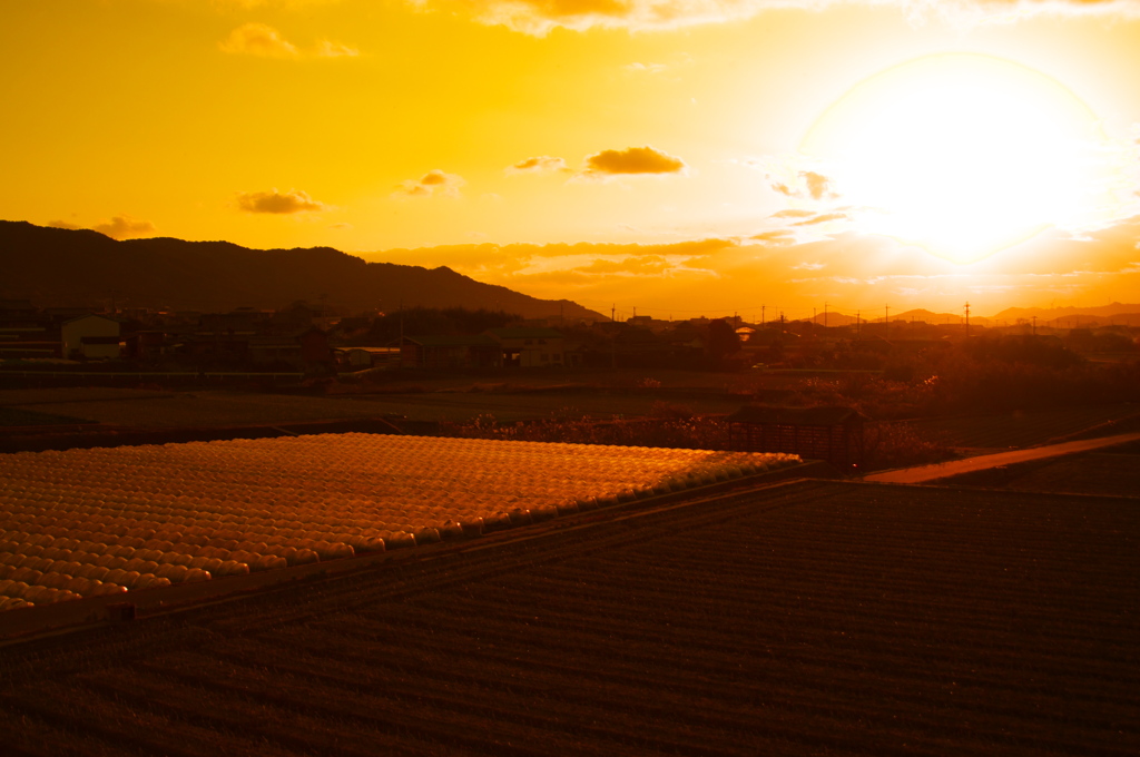 淡路島の夕日２