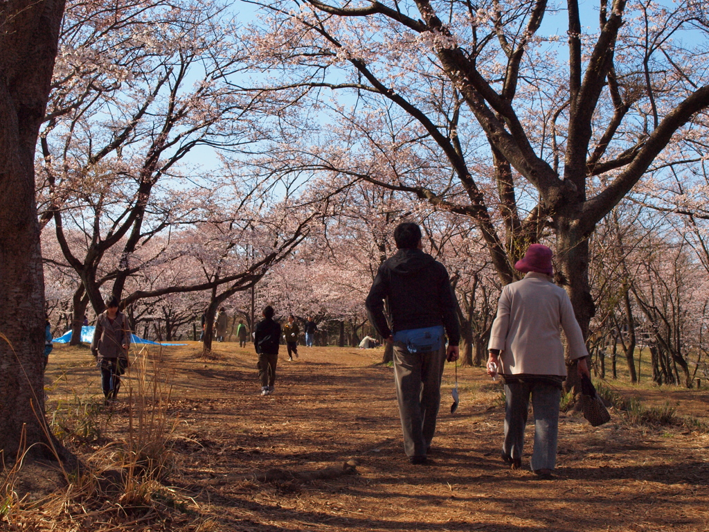 春の宴の前