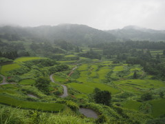 棚田遠景