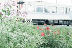 列車に乗ってどこ行こう♪