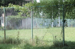 秘密基地に行く？