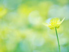 きみは　やさしいね