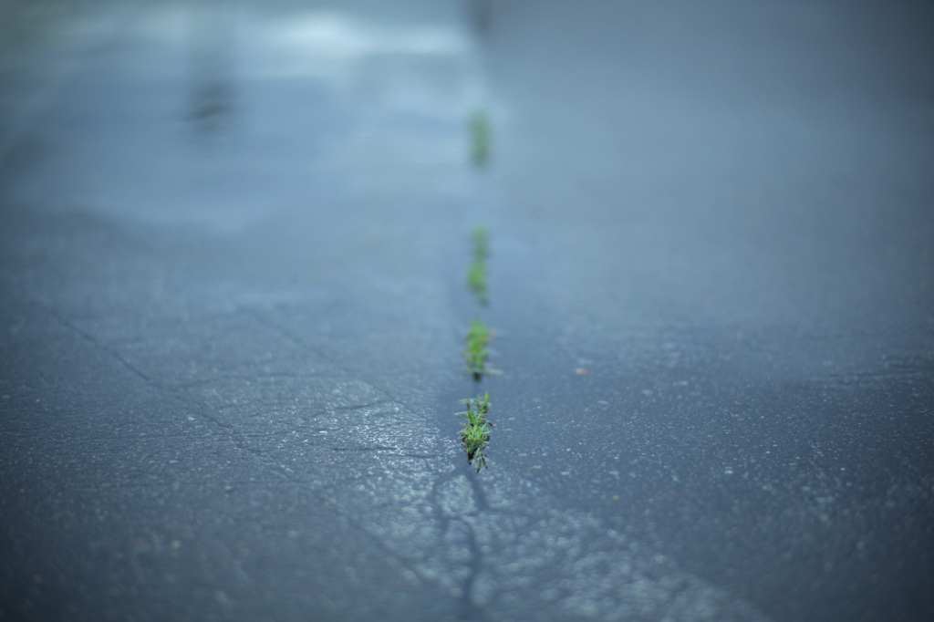 雨の日