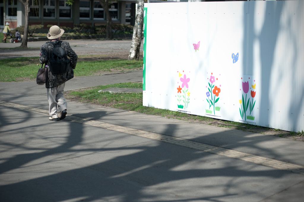 公園の日常